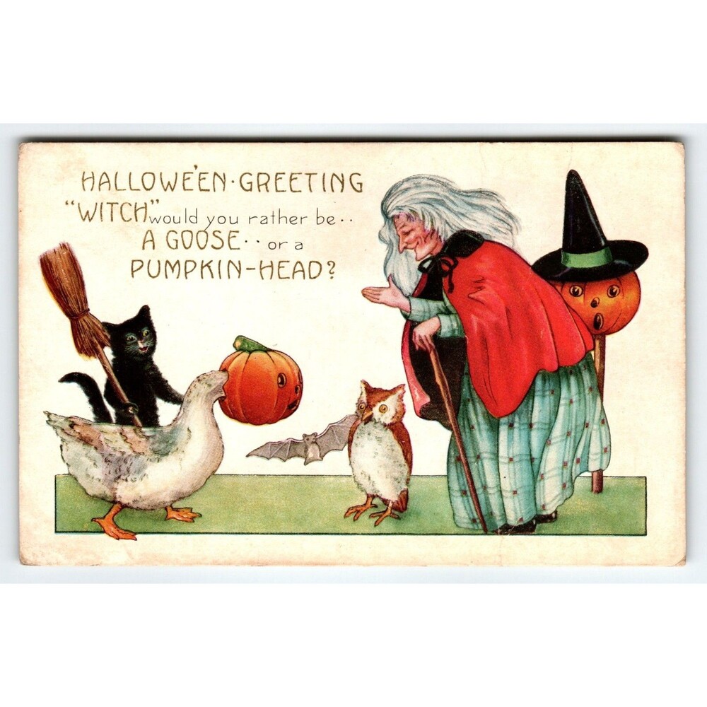 Halloween Postcard Owl Goose Bat Black Cat Witch Pumpkins Whitney Pumpkin-Head